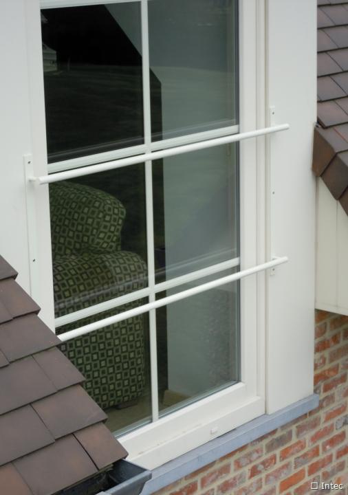 Window Fall Protection